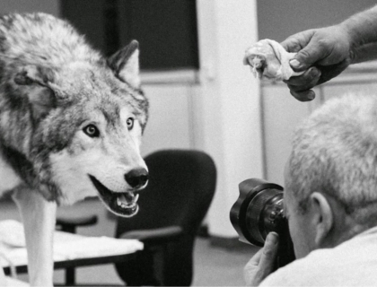 The Making Off 'The Wolves Of Wall Street - David Yarrow - Leonhard's Gallery
