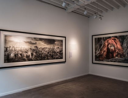 David Yarrow - Storytelling Exhibition - Leonhard's Gallery