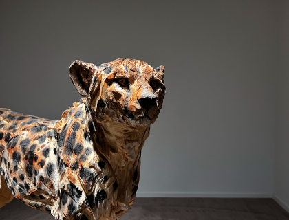 Watching Cheetah - Jürgen Lingl - Leonhard's Gallery