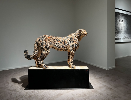 Watching Cheetah - Jürgen Lingl - Leonhard's Gallery