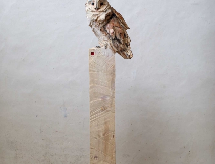 Barn Owl - Jürgen Lingl - Leonhard's Gallery