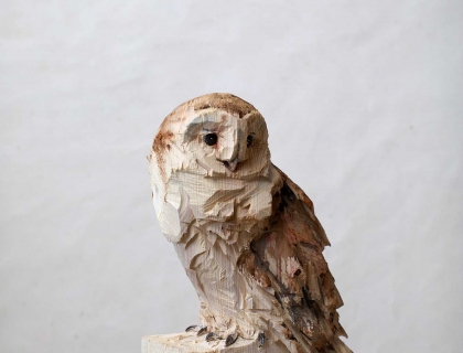 Barn Owl - Jürgen Lingl - Leonhard's Gallery