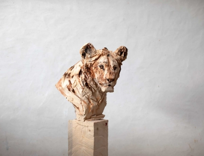 Lion Youngster - Jürgen Lingl - Leonhard's Gallery