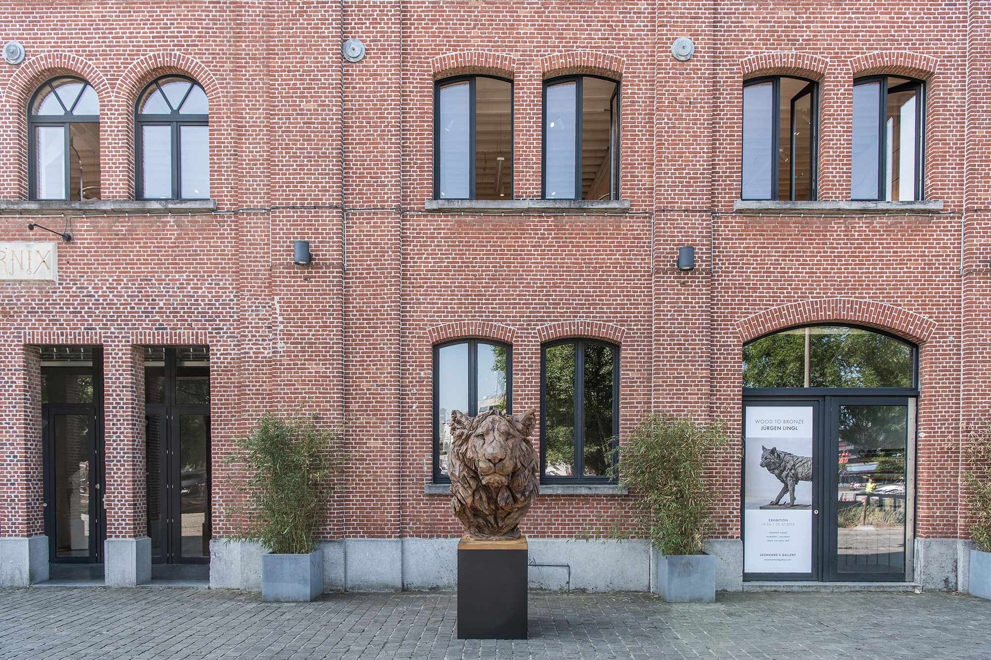 Expo Wood To Bronze - Jürgen Lingl - Leonhard's Gallery