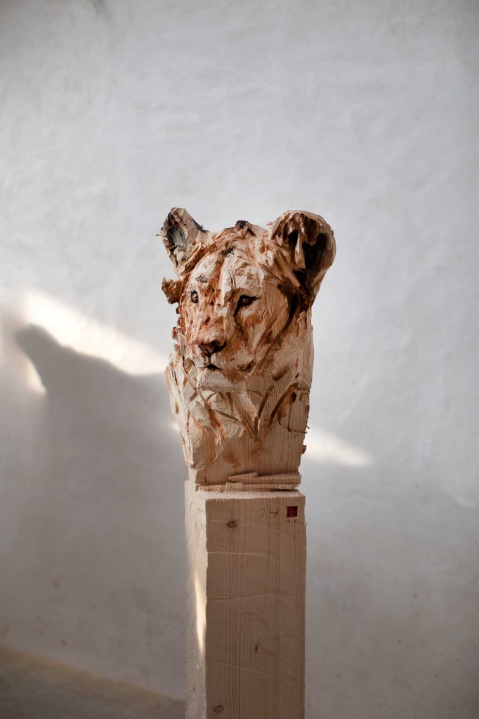 Lion Youngster - Jürgen Lingl - Leonhard's Gallery
